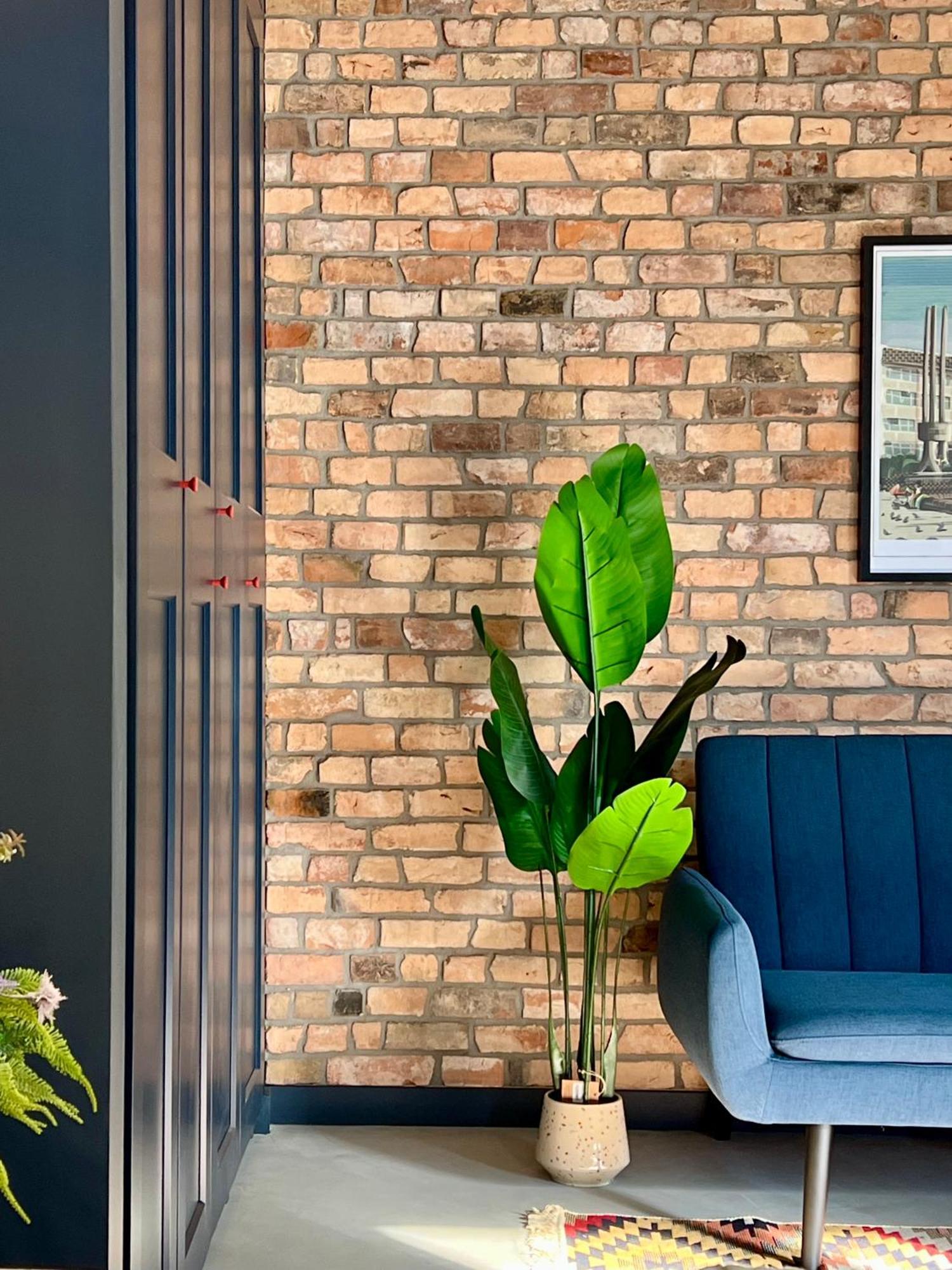 Apartament Przy Ratuszu 科沙林 外观 照片